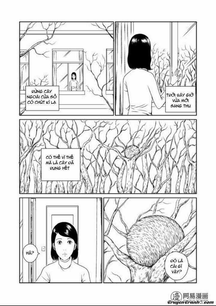 Tổ Chim - Chapter 1 - Trang 4