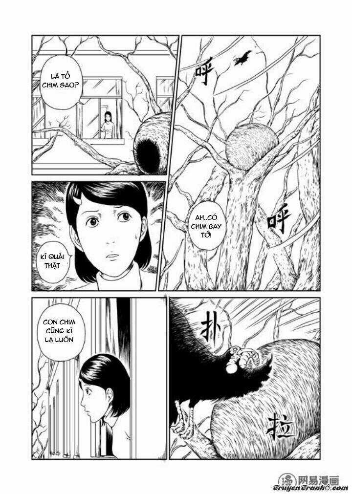 Tổ Chim - Chapter 1 - Trang 5