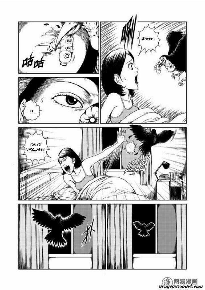 Tổ Chim - Chapter 1 - Trang 9