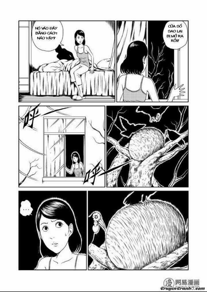 Tổ Chim - Chapter 1 - Trang 10