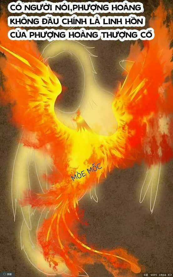 Tố Thủ Già Thiên - Chapter 0 - Trang 8