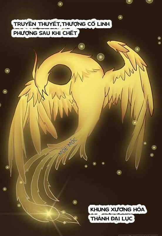 Tố Thủ Già Thiên - Chapter 1 - Trang 1