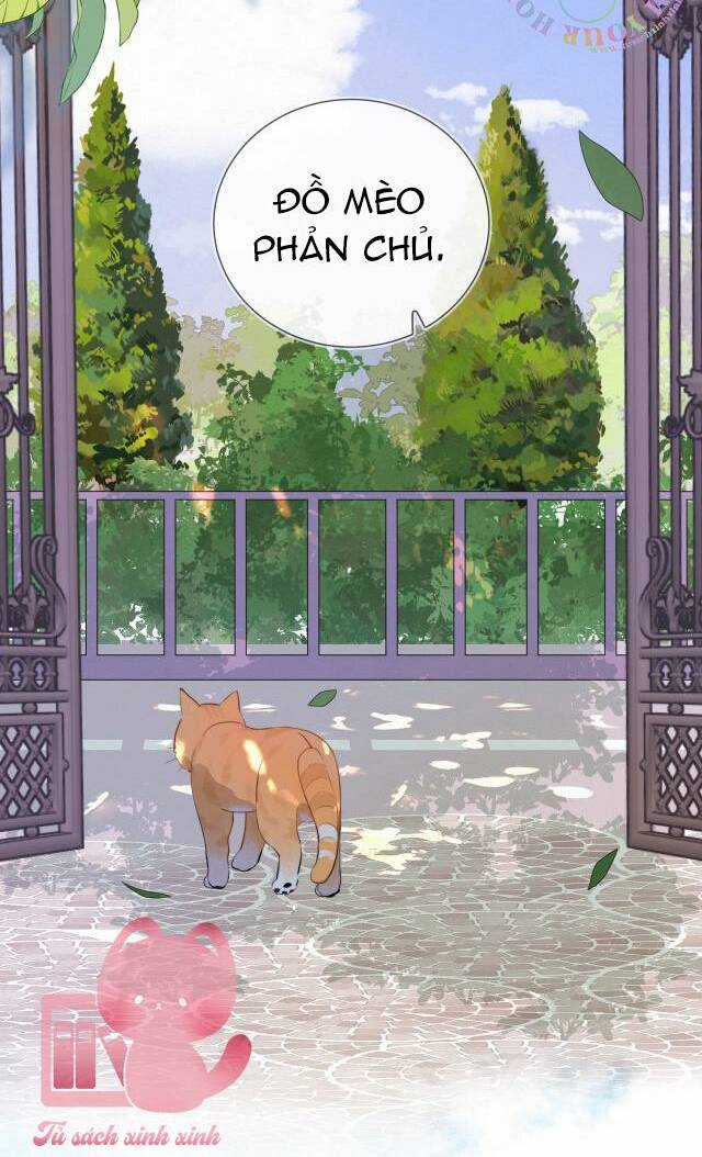 Tỏ Tình - Chapter 10 - Trang 13