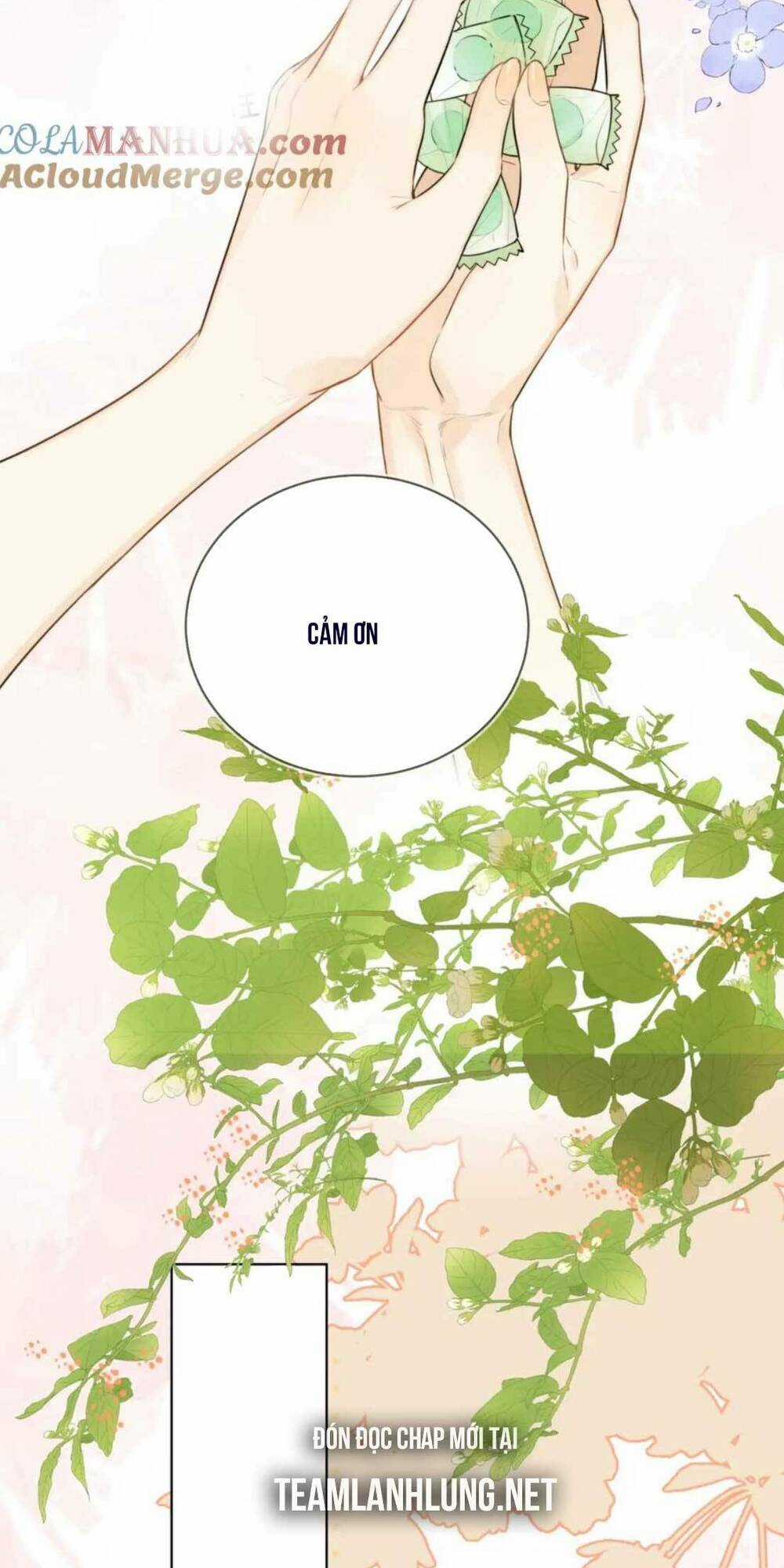 Tỏ Tình - Chapter 11 - Trang 12