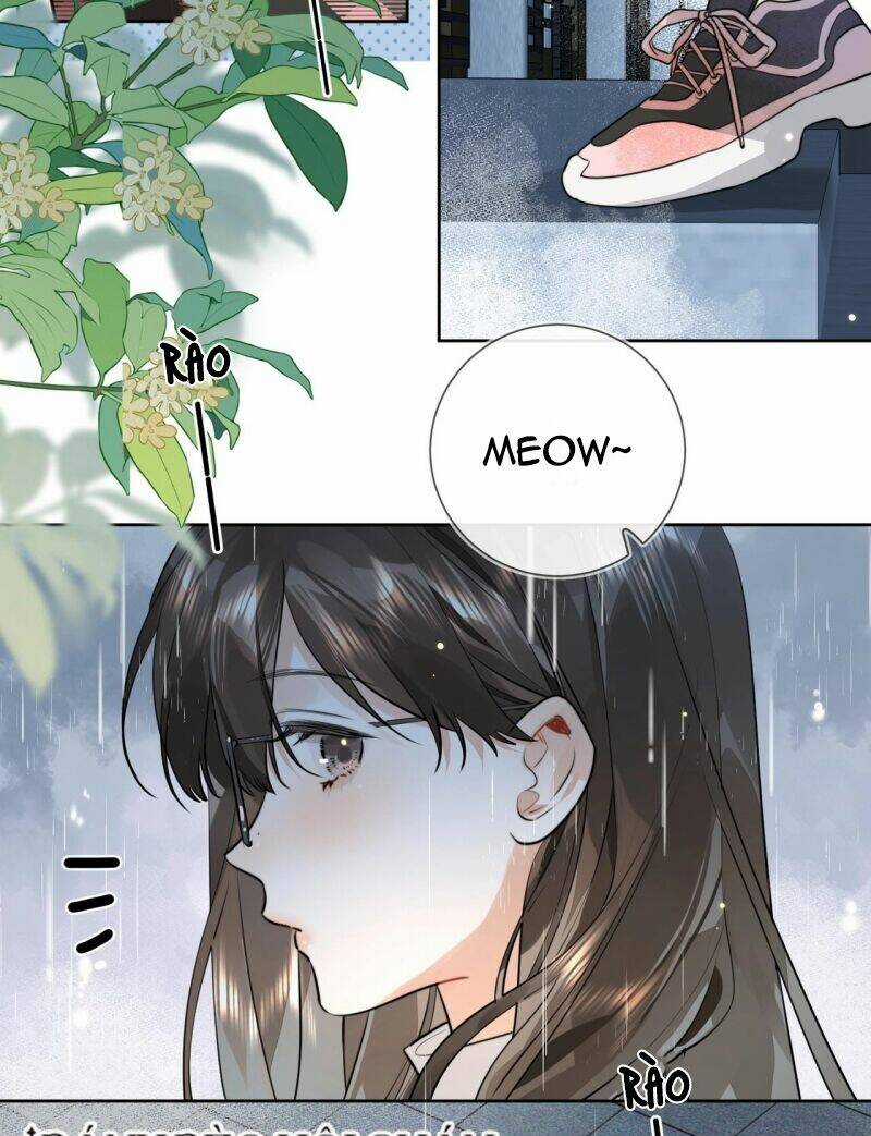 Tỏ Tình - Chapter 15 - Trang 24