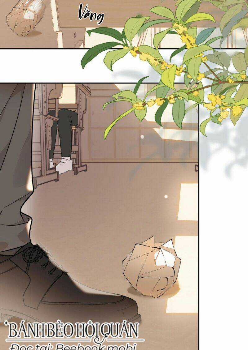 Tỏ Tình - Chapter 16 - Trang 18