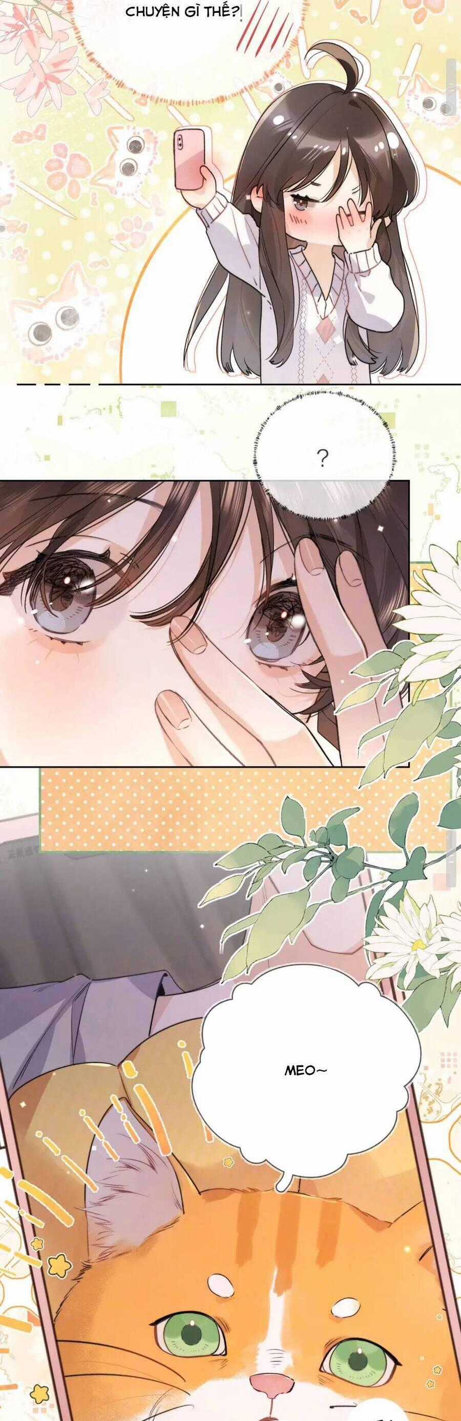 Tỏ Tình - Chapter 50 - Trang 2