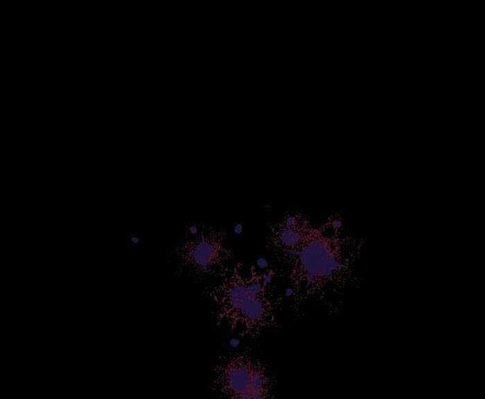 tỏa sáng rực rỡ - Chapter 1.1 - Trang 16