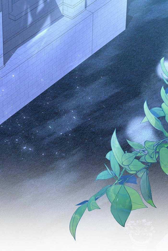 tỏa sáng rực rỡ - Chapter 17.2 - Trang 29