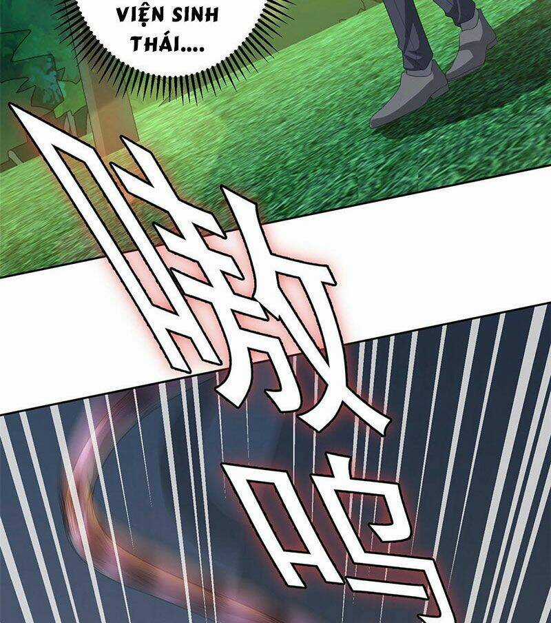 Tọa Ủng Tinh Cầu - Chapter 7 - Trang 6