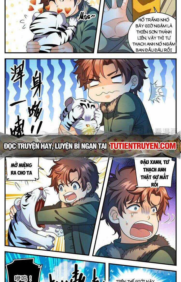 Toàn Chức Pháp Sư - Chapter 1088 - Trang 12