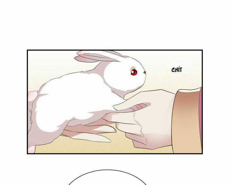 Toàn Cơ Từ - Chapter 61.1 - Trang 17