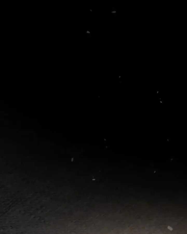 Toàn Trí Độc Giả - Chapter 302 - Trang 107