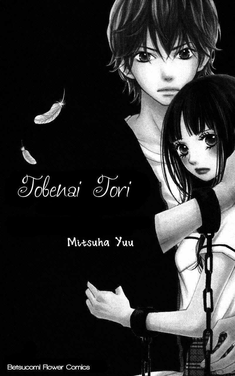 Tobenai Tori - Chapter 1 - Trang 3