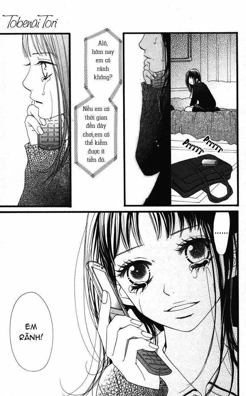 Tobenai Tori - Chapter 1 - Trang 29