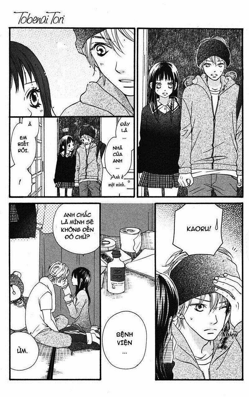 Tobenai Tori - Chapter 2 - Trang 10