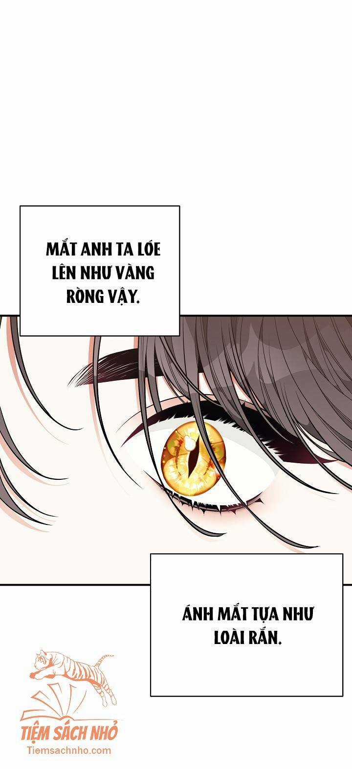 Tôi Chỉ Đi Tìm Cha Thôi - Chapter 36 - Trang 26