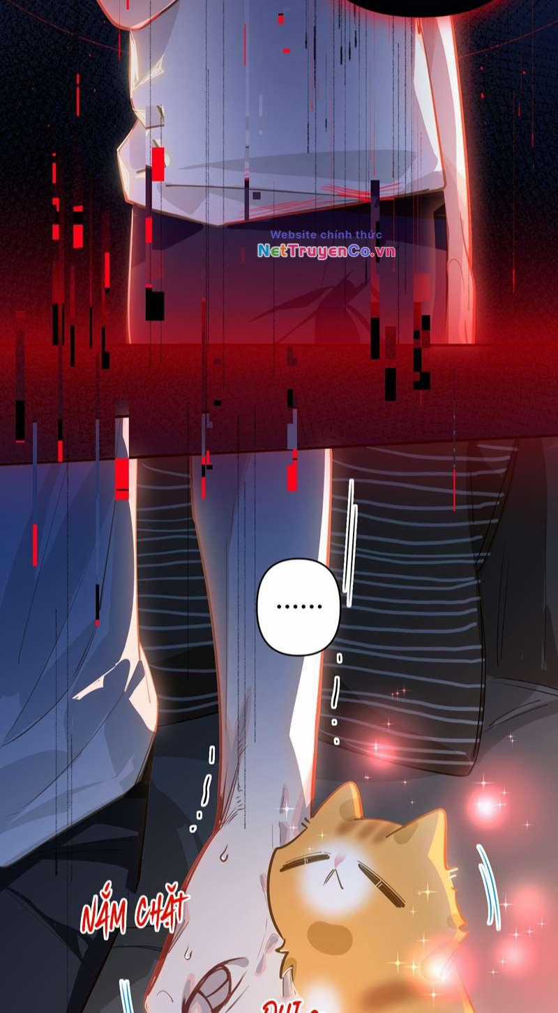 Tôi Có Bệnh - Chapter 39 - Trang 11