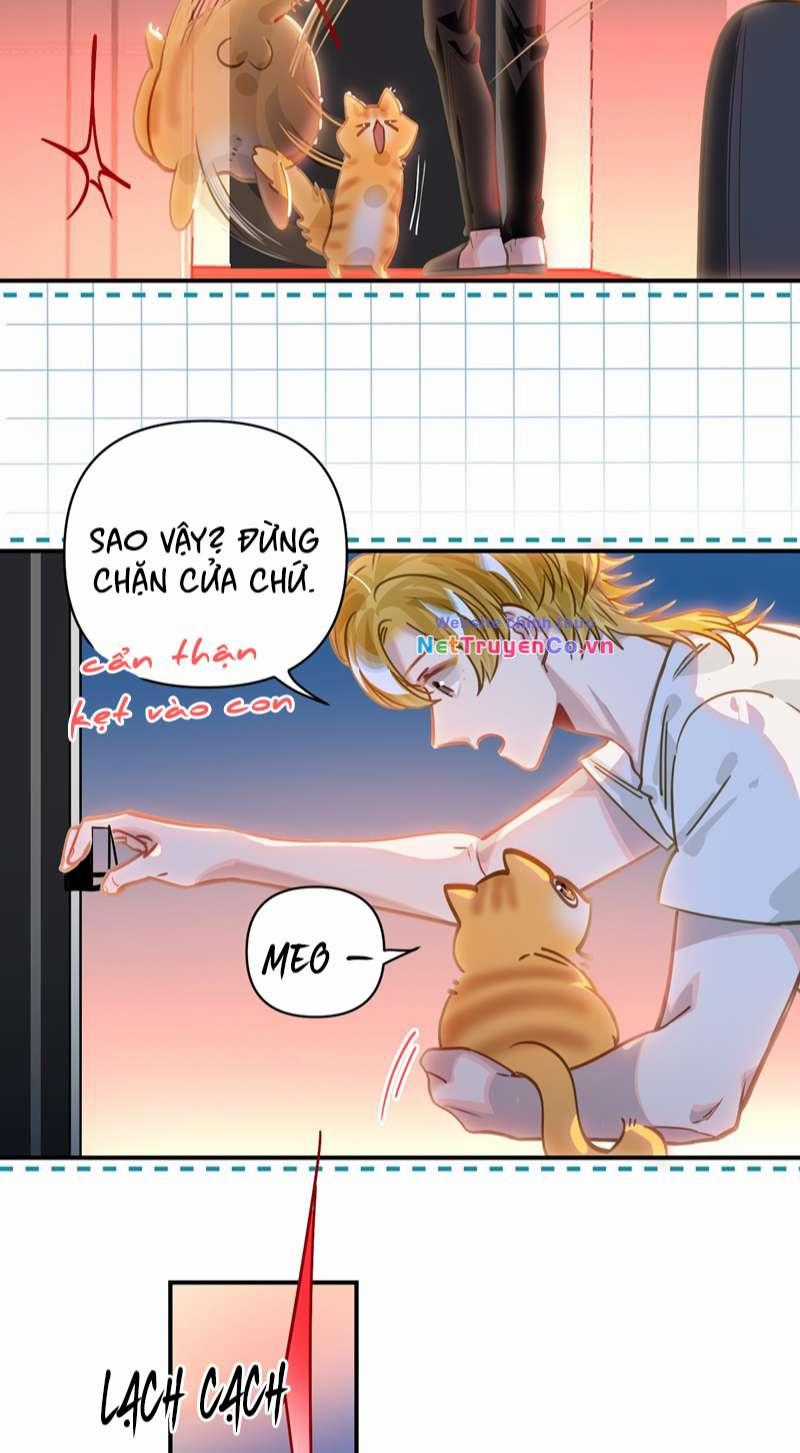 Tôi Có Bệnh - Chapter 39 - Trang 14