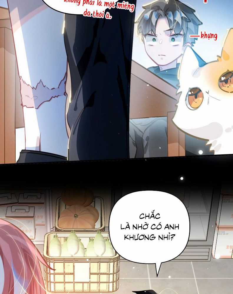 Tôi Có Bệnh - Chapter 70 - Trang 15