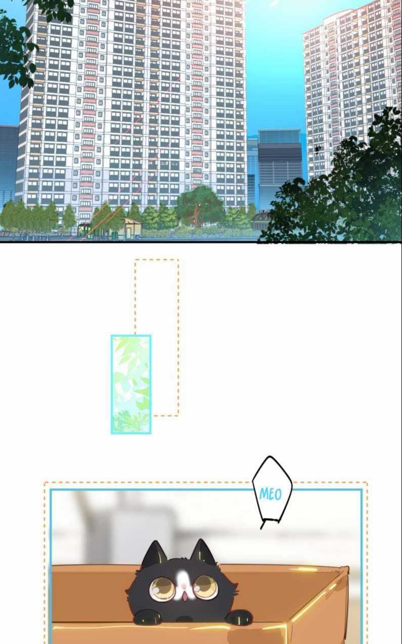 Tôi Có Bệnh - Chapter 8 - Trang 13