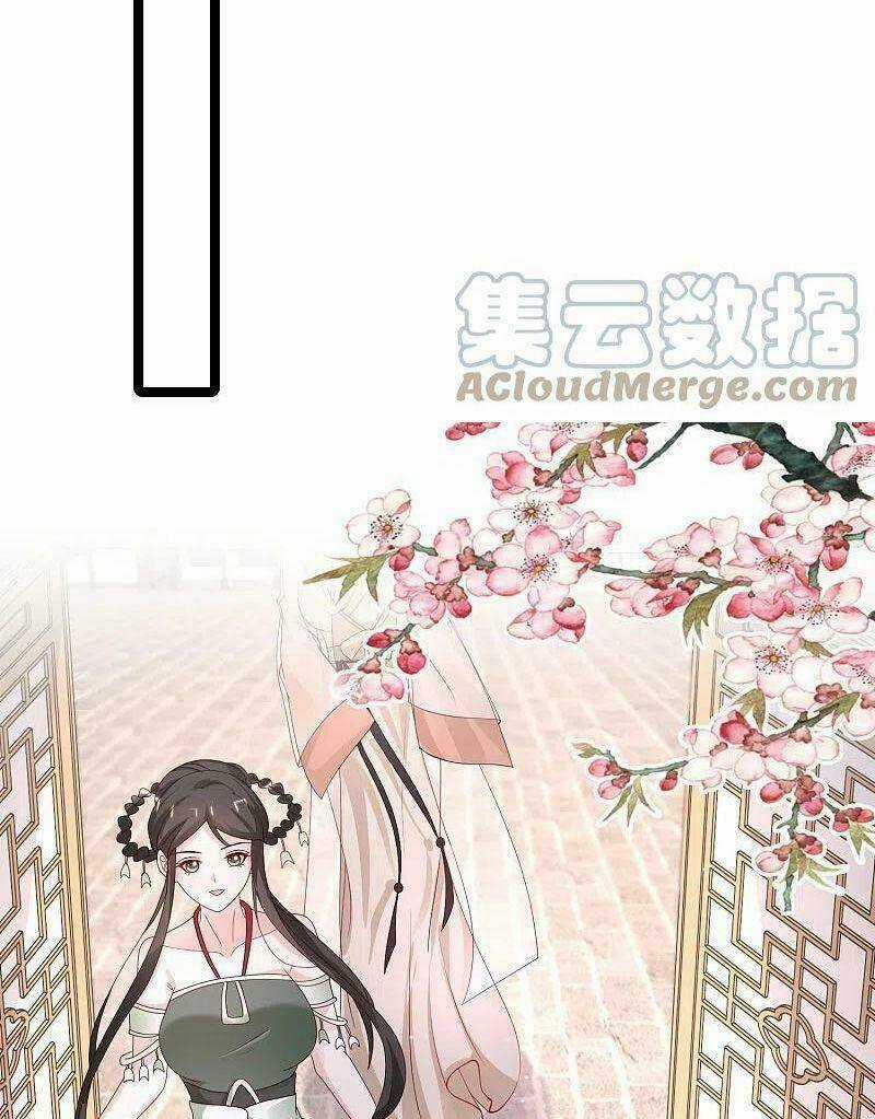 Tối Cường Vận Đào Hoa - Chapter 252 - Trang 10