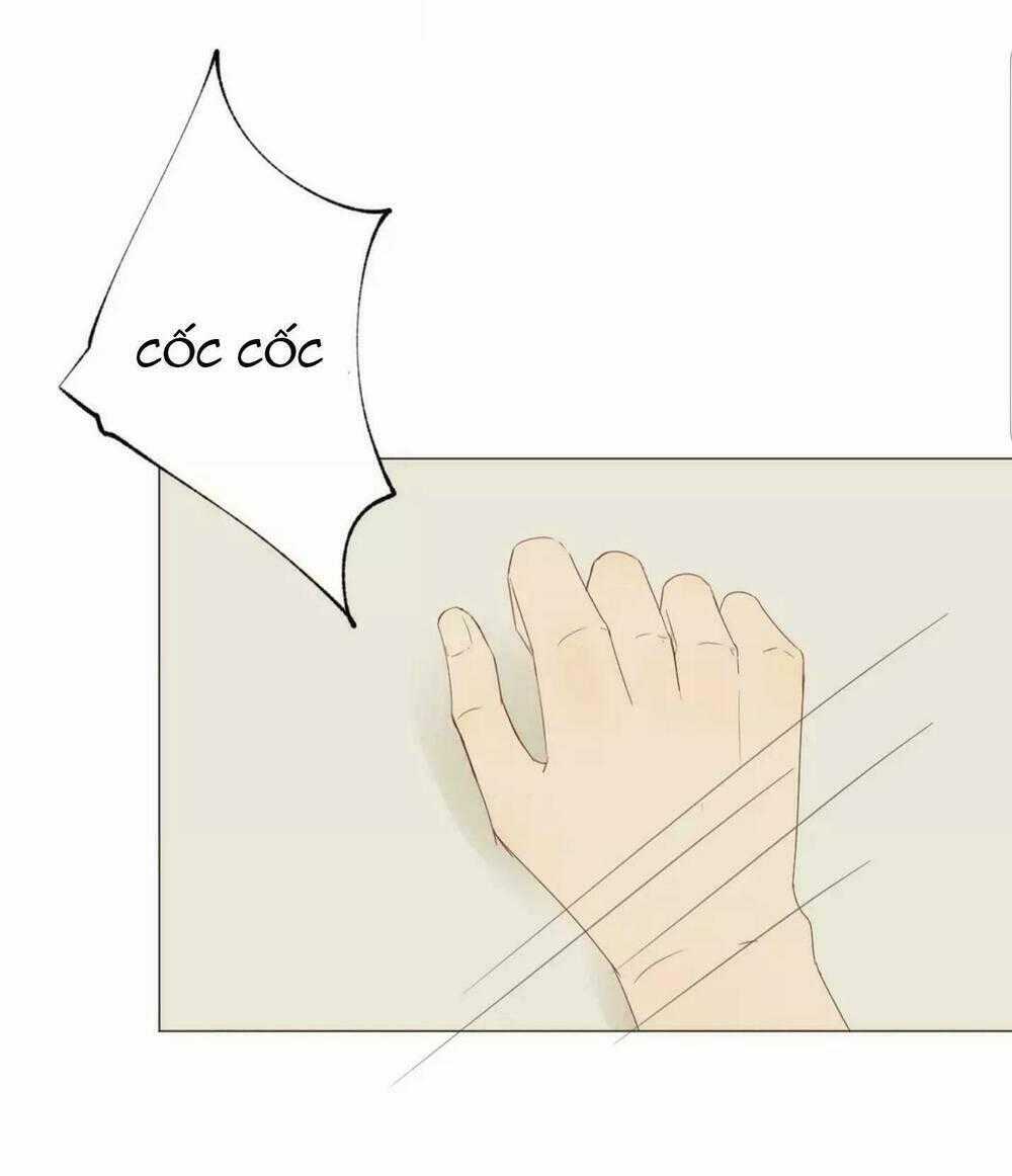 Tôi Gặp Em Lúc Bình Minh - Chapter 21 - Trang 2