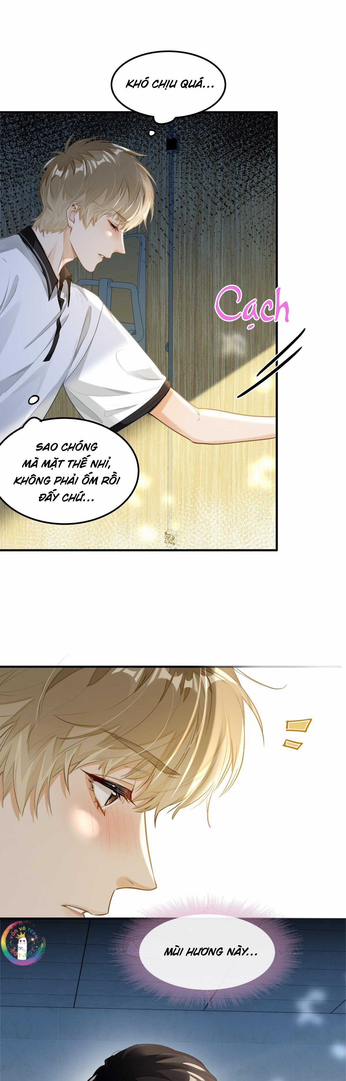 Tôi Thích Pheromone Của Cậu - Chapter 5 - Trang 5