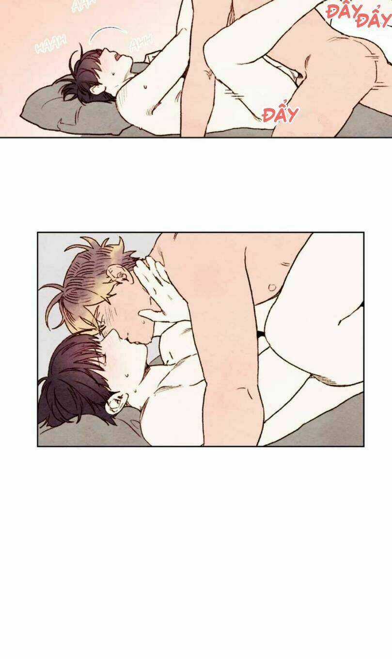 Tokyo Babylon - Chapter 28 - Trang 24