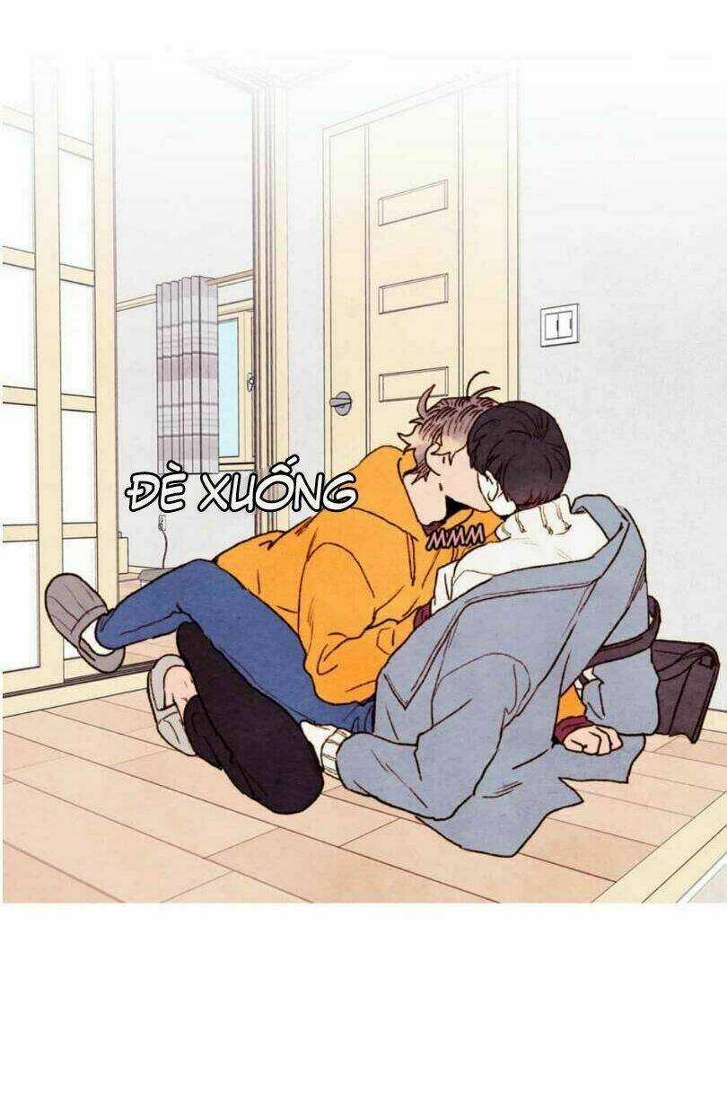 Tokyo Babylon - Chapter 29 - Trang 18