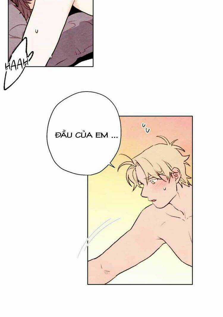 Tokyo Babylon - Chapter 40 - Trang 3