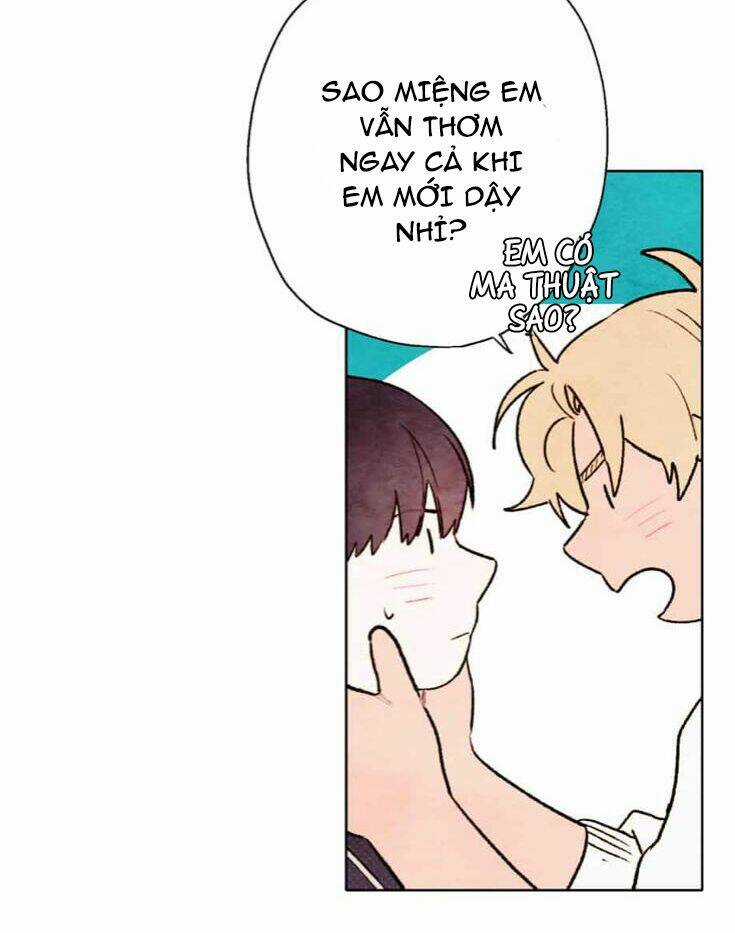 Tokyo Babylon - Chapter 42 - Trang 14