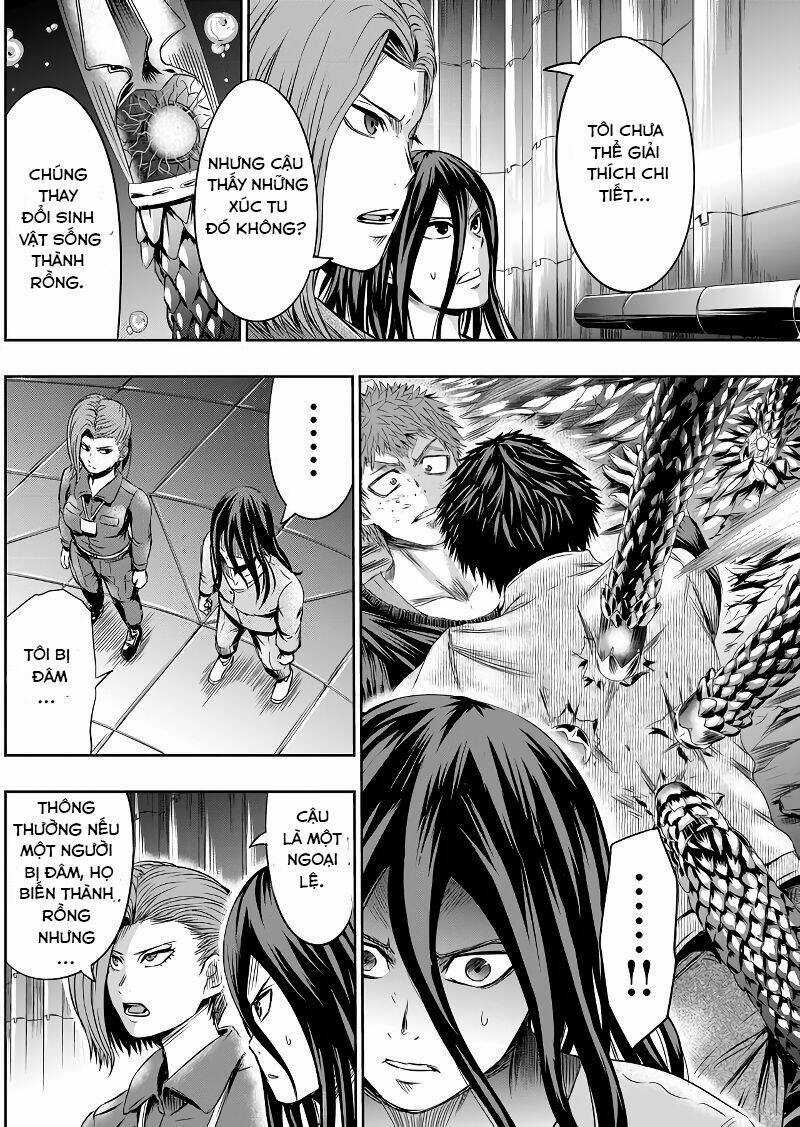 Tokyo Dragon Night - Chapter 47 - Trang 5