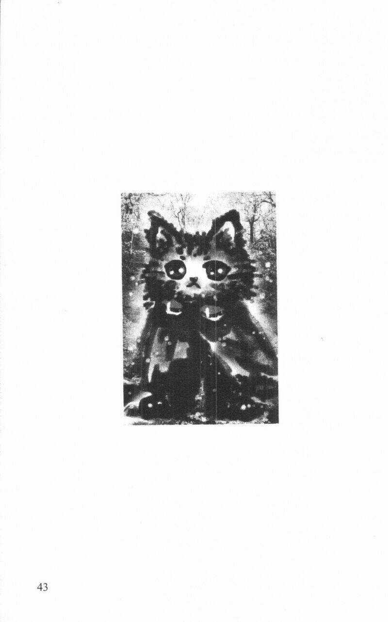 Toraji Phiêu Lưu Ký - Chapter 1 - Trang 43