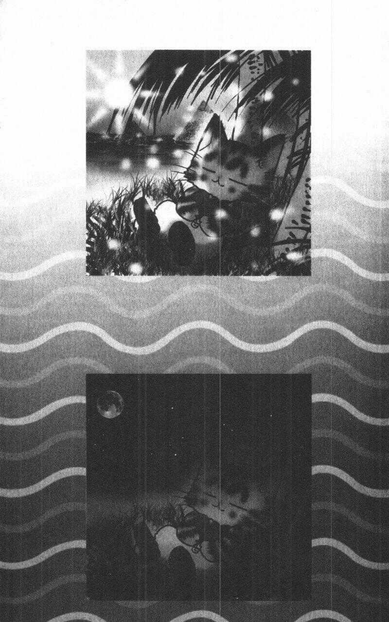 Toraji Phiêu Lưu Ký - Chapter 4 - Trang 187