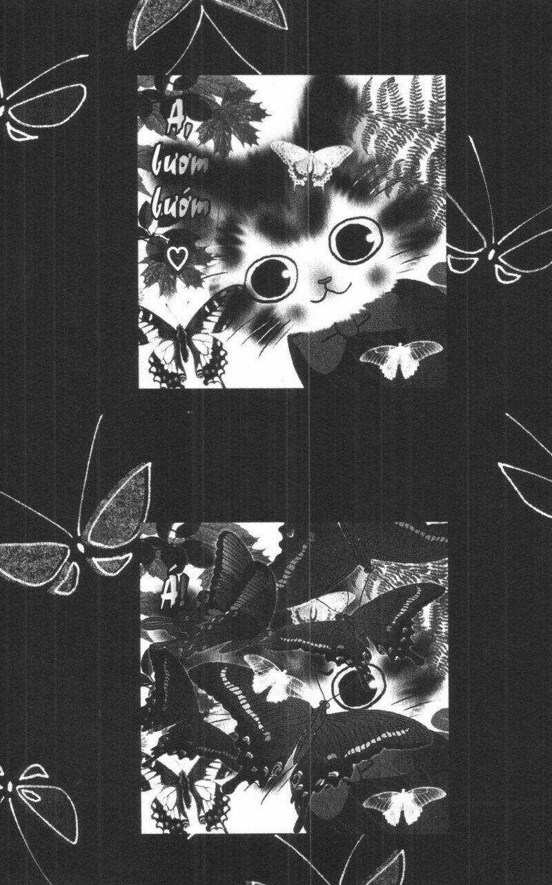 Toraji Phiêu Lưu Ký - Chapter 5 - Trang 188