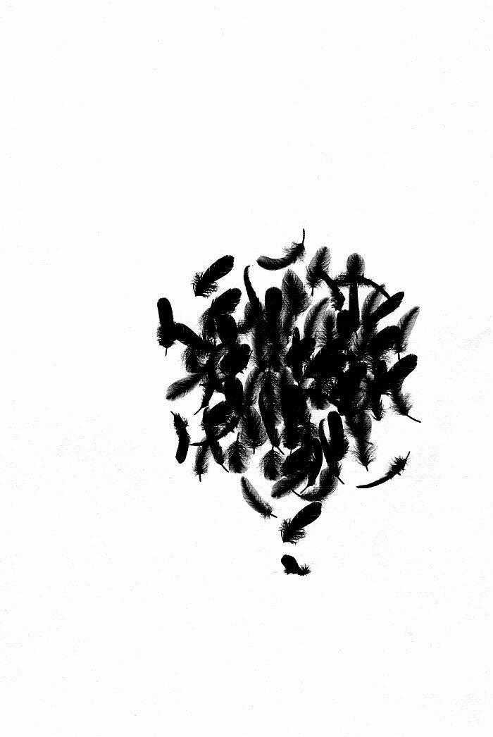 Torikago Gakkyuu - Chapter 3 - Trang 26