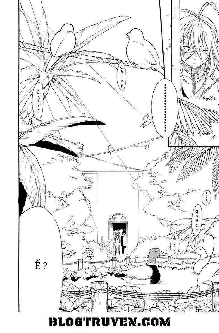 Torikago No Tsugai - Chapter 11 - Trang 26