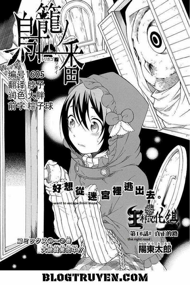 Torikago No Tsugai - Chapter 16 - Trang 4