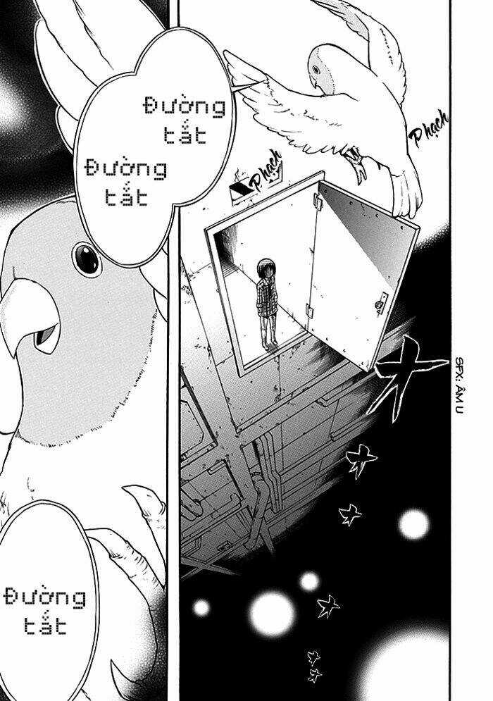 Torikago No Tsugai - Chapter 4 - Trang 42