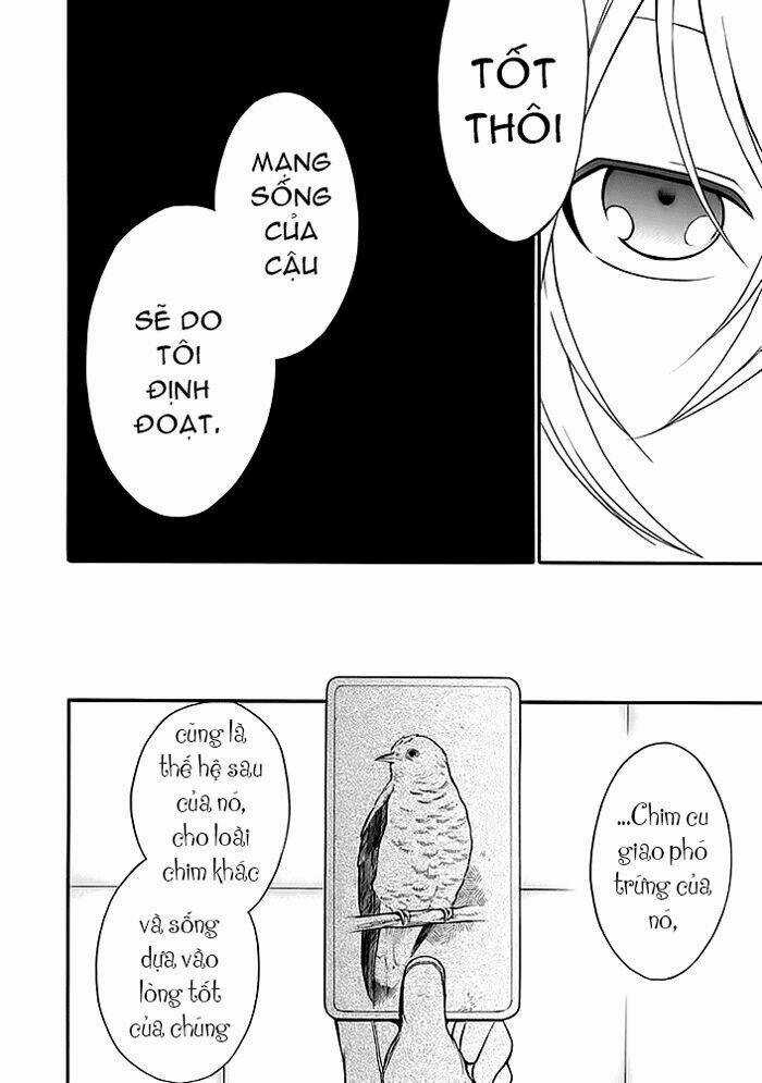 Torikago No Tsugai - Chapter 5 - Trang 42