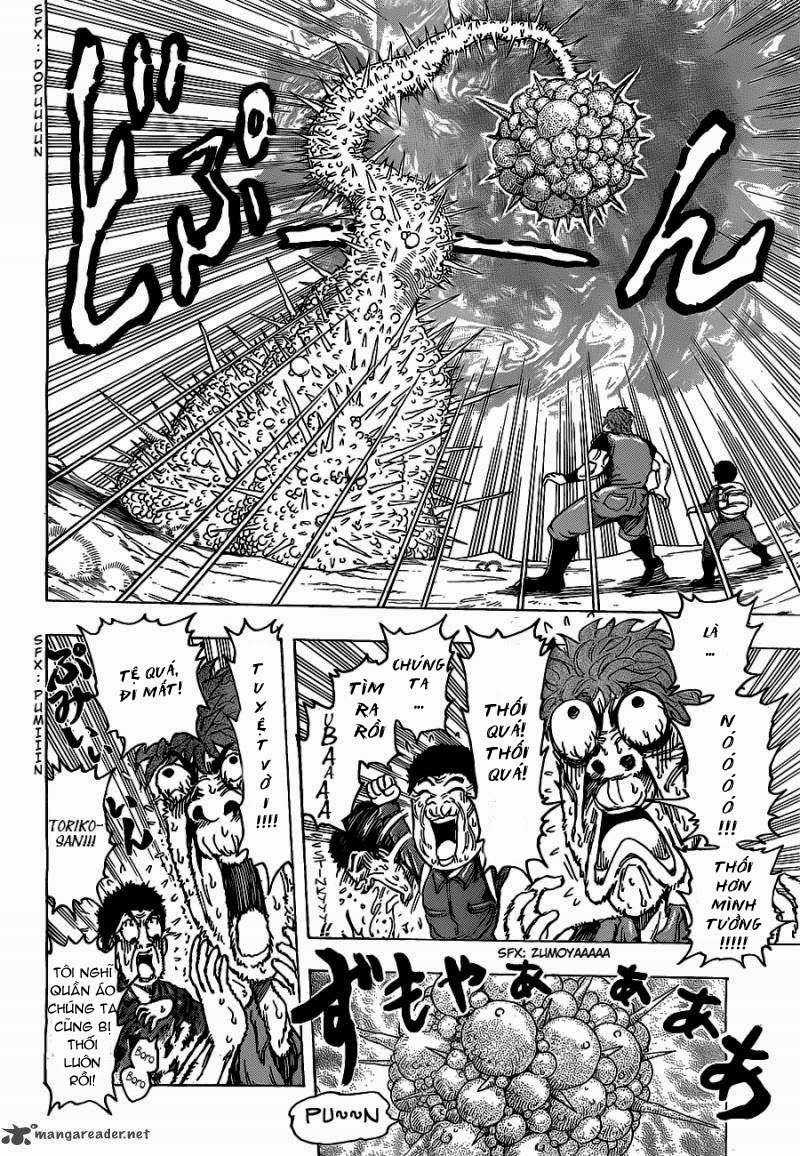 Toriko - Thợ Săn Ẩm Thực - Chapter 177 - Trang 16