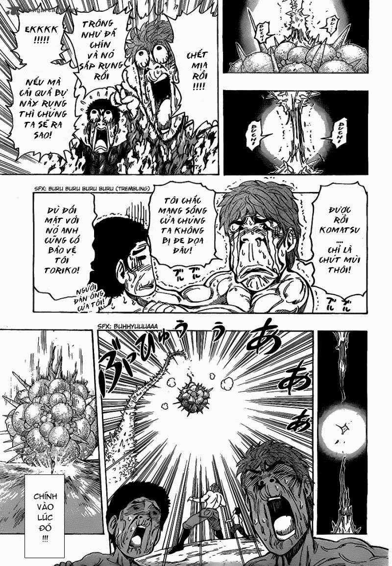 Toriko - Thợ Săn Ẩm Thực - Chapter 177 - Trang 17