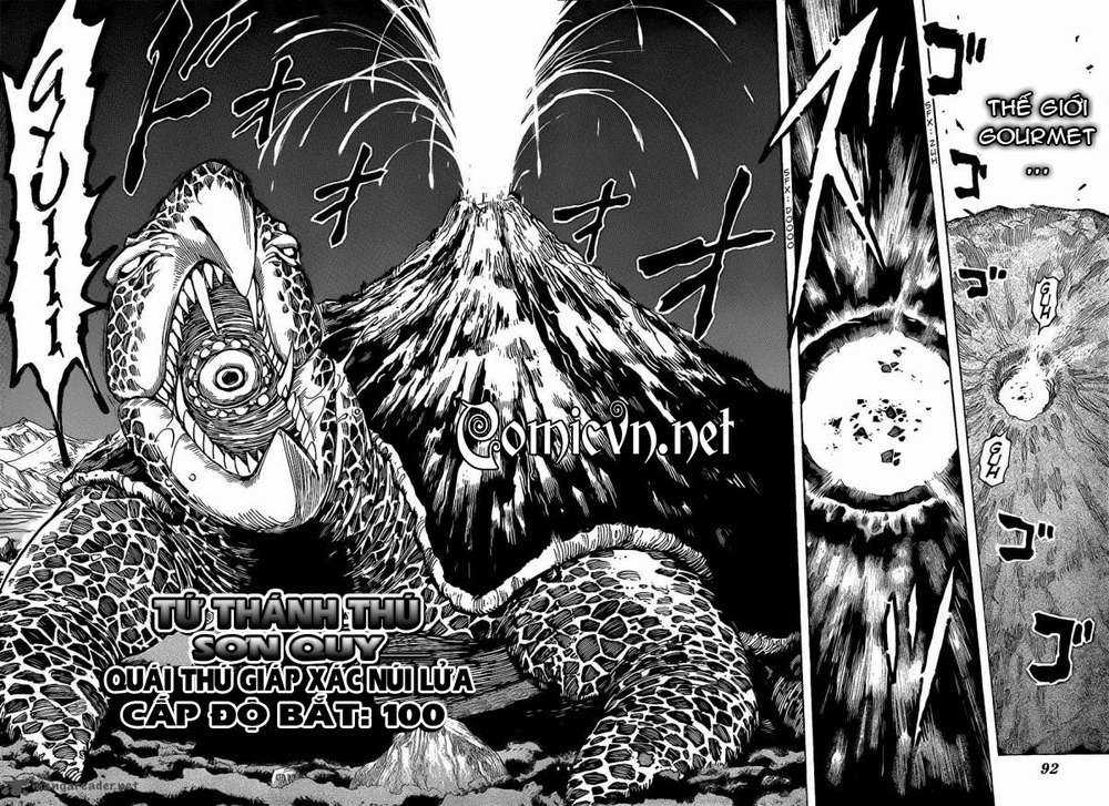 Toriko - Thợ Săn Ẩm Thực - Chapter 194 - Trang 12