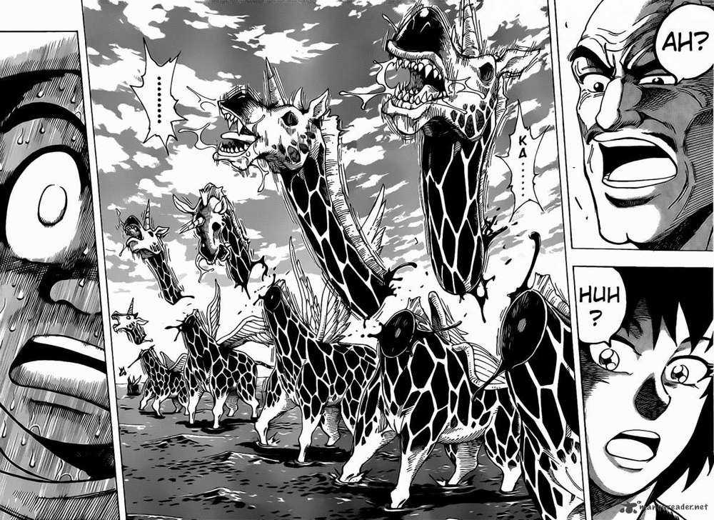 Toriko - Thợ Săn Ẩm Thực - Chapter 217 - Trang 15