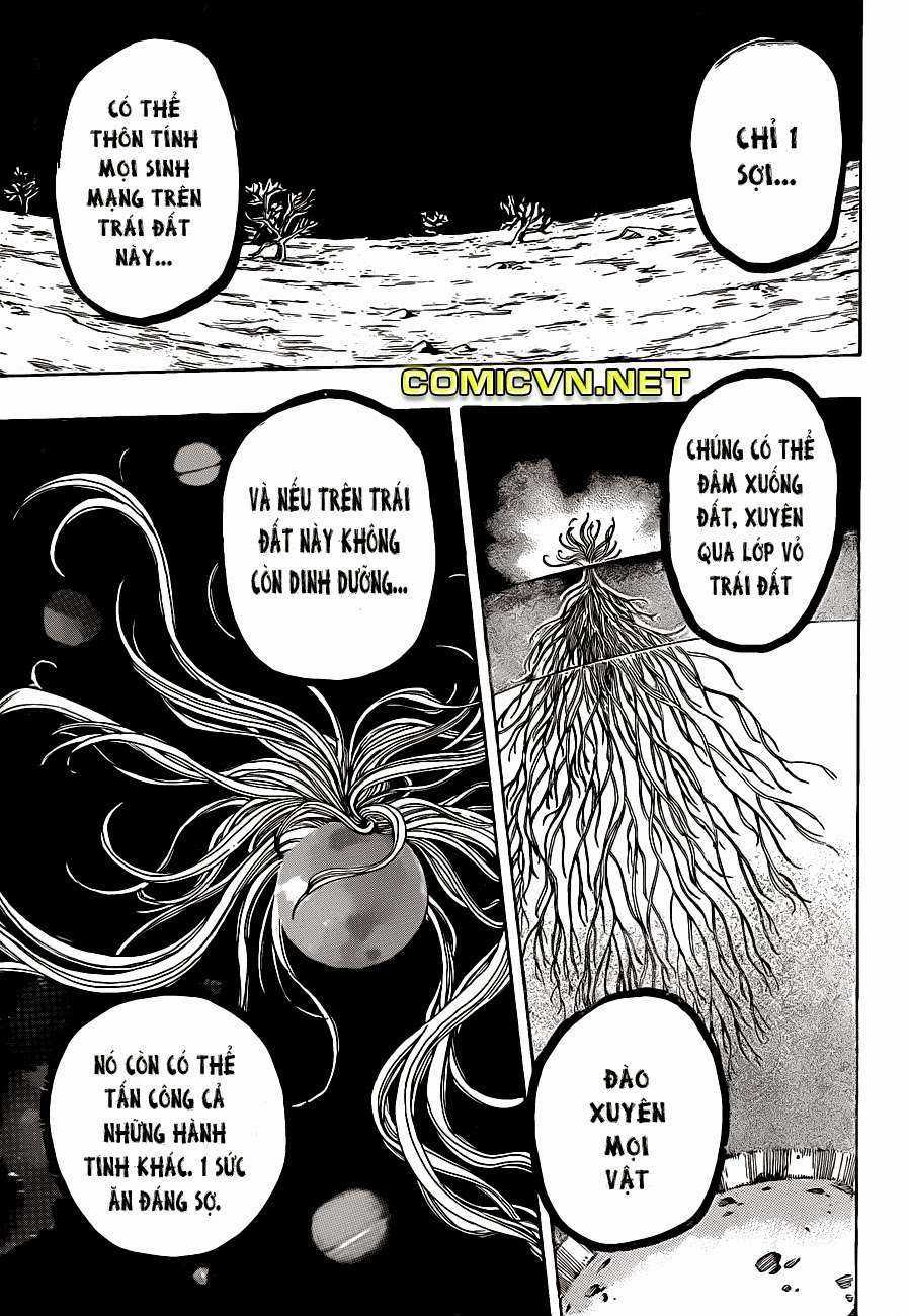Toriko - Thợ Săn Ẩm Thực - Chapter 225 - Trang 15