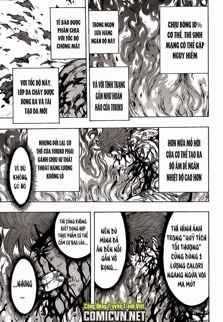 Toriko - Thợ Săn Ẩm Thực - Chapter 238 - Trang 9