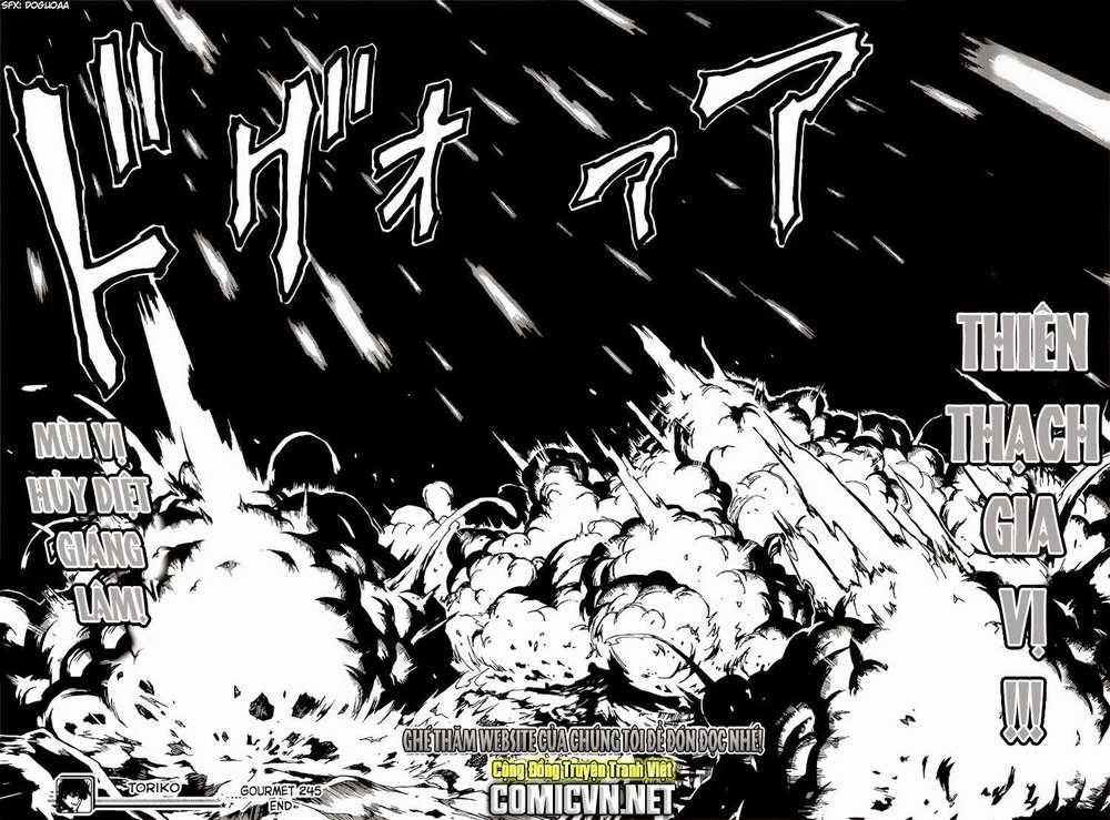Toriko - Thợ Săn Ẩm Thực - Chapter 245 - Trang 17