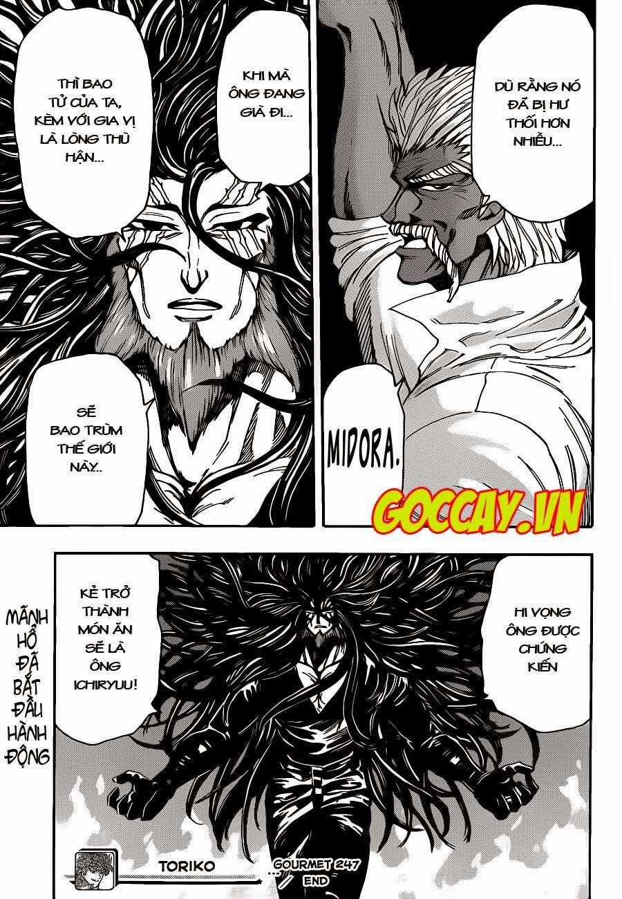 Toriko - Thợ Săn Ẩm Thực - Chapter 247 - Trang 18