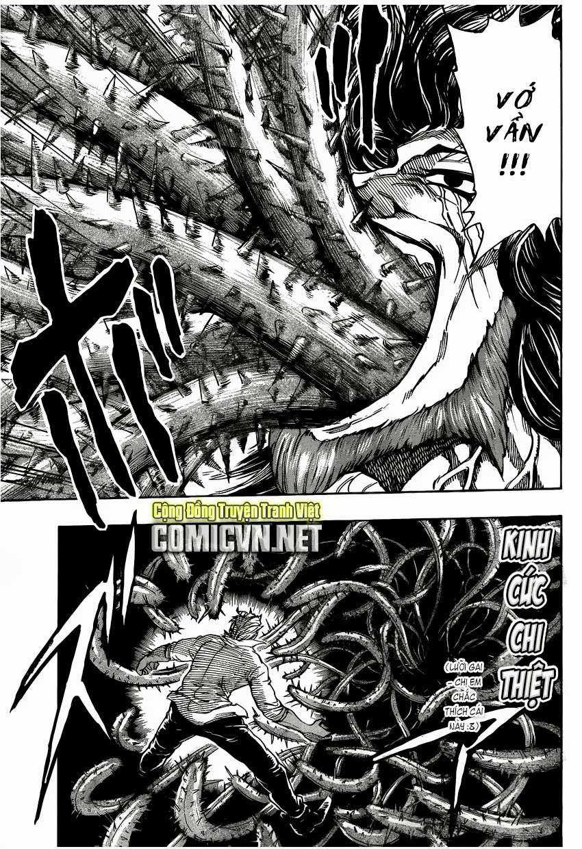 Toriko - Thợ Săn Ẩm Thực - Chapter 248 - Trang 10